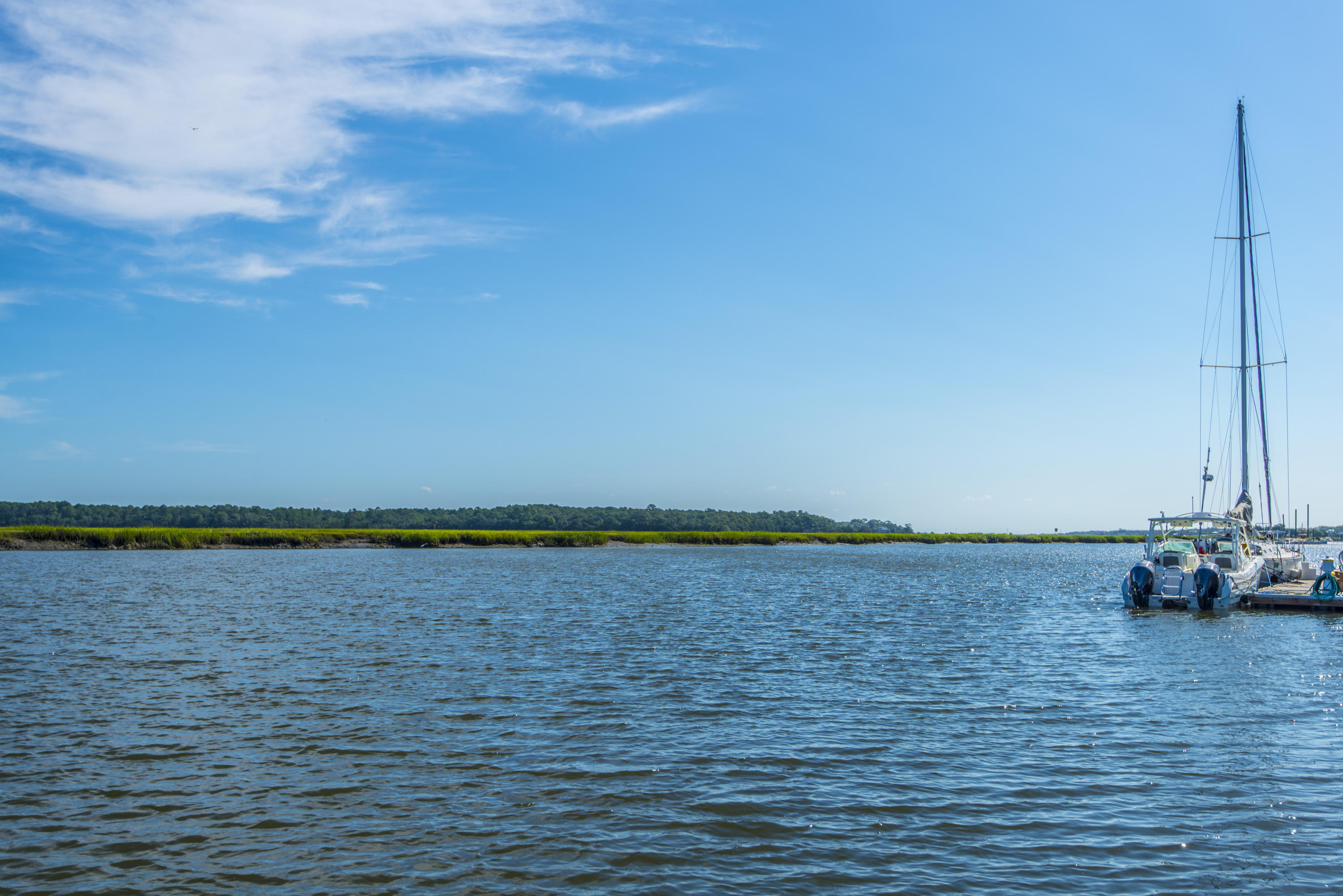 3744 Docksite Road Edisto Island, SC 29438 - Photo 65 of 73 3744 Docksite rd prof. (35)