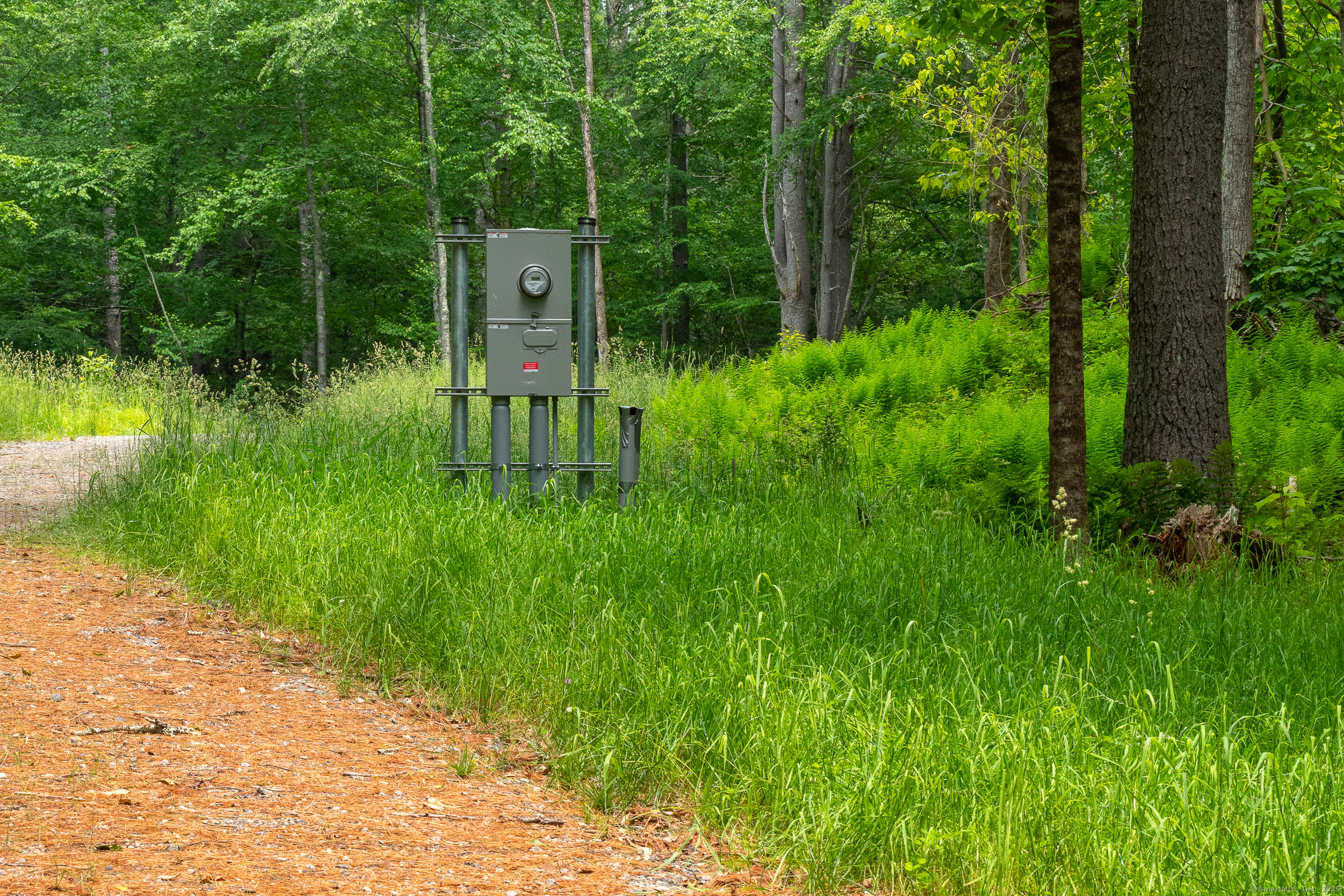 50 Popple Swamp Road Cornwall, CT 06754 - Photo 11 of 19 a garden view with a space