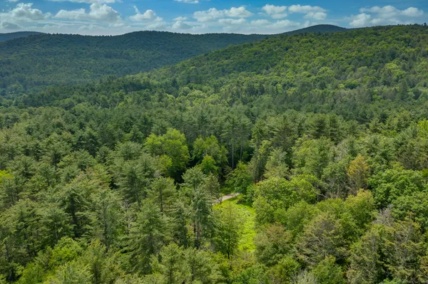 a view of a lush green space with sea