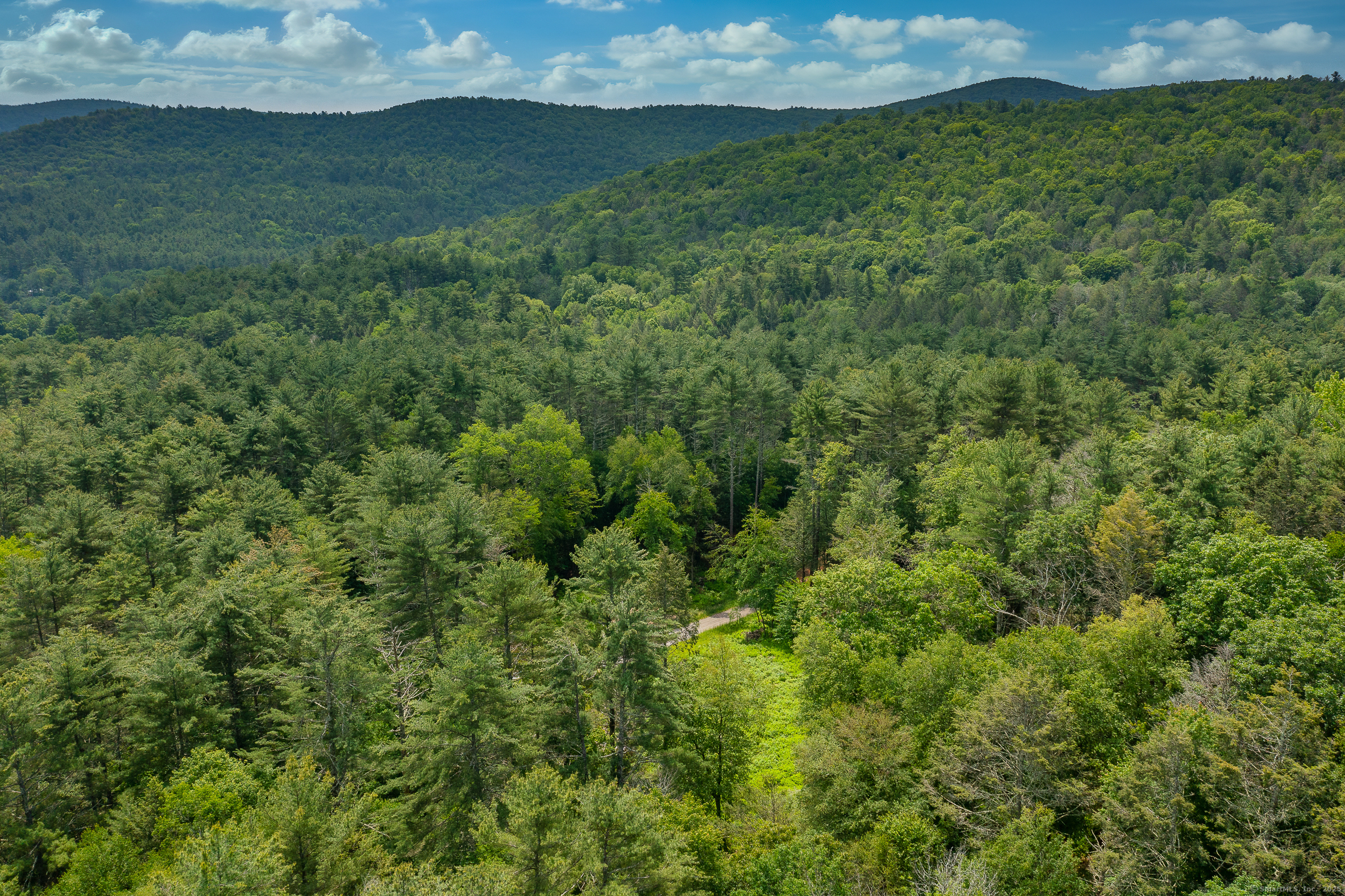 50 Popple Swamp Road Cornwall, CT 06754 - Photo 14 of 19 a view of a lush green space with sea