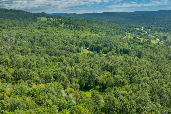 a view of a lush green space