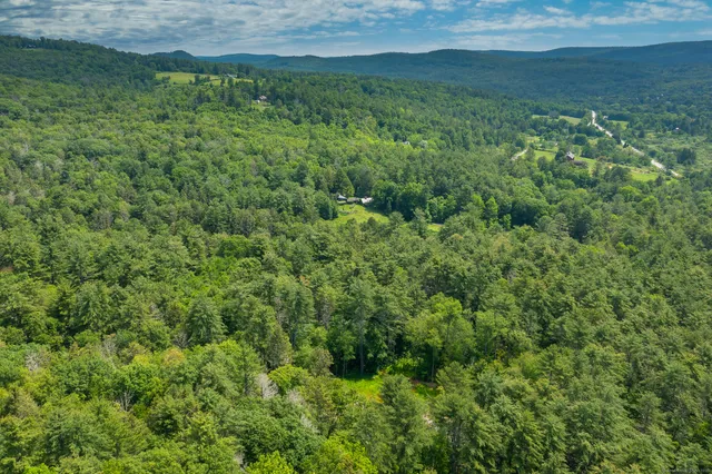 a view of a lush green space