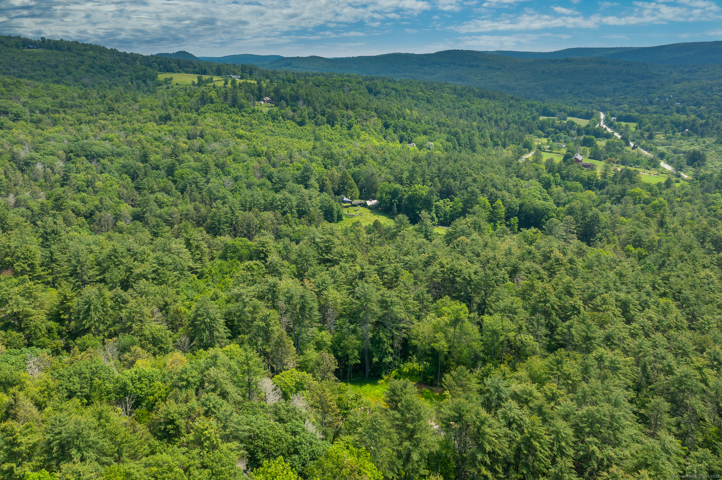 50 Popple Swamp Road Cornwall, CT 06754 - Photo 15 of 19 a view of a lush green space