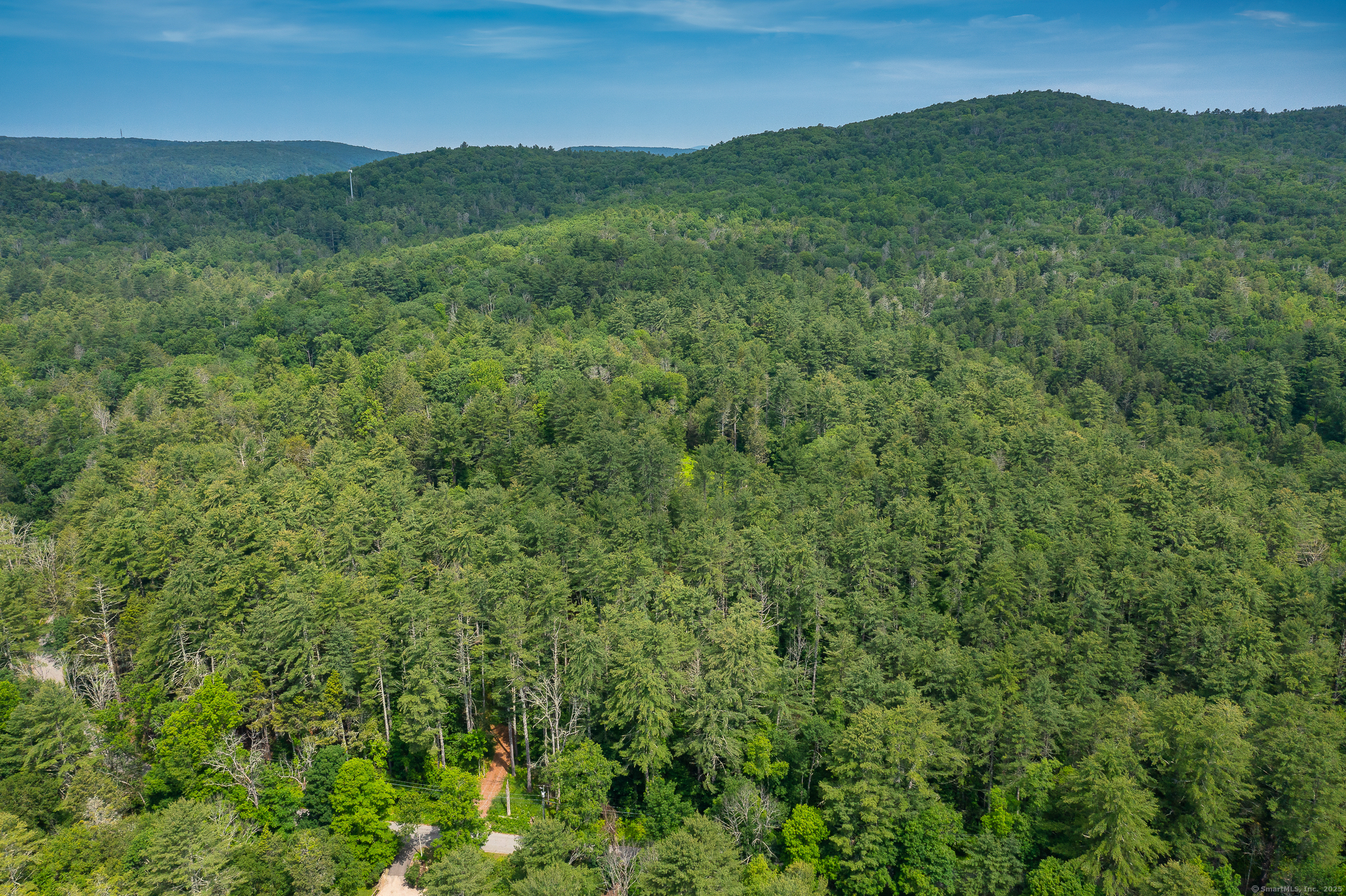 50 Popple Swamp Road Cornwall, CT 06754 - Photo 18 of 19 a view of a lush green forest with a mountain