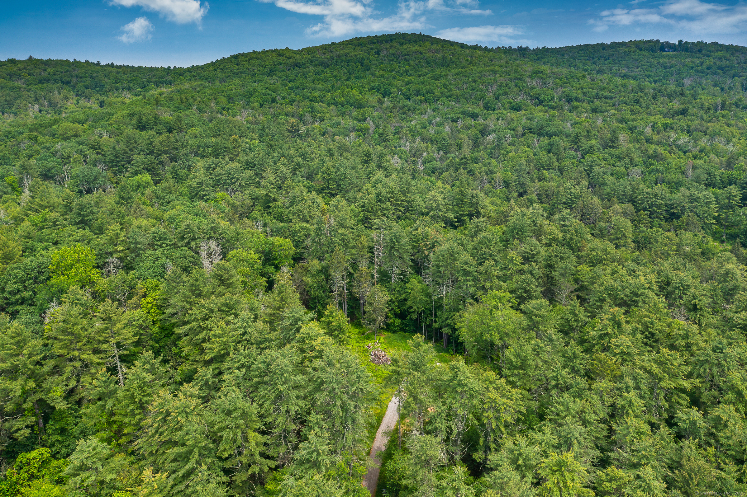 50 Popple Swamp Road Cornwall, CT 06754 - Photo 19 of 19 a view of a green field with lots of bushes