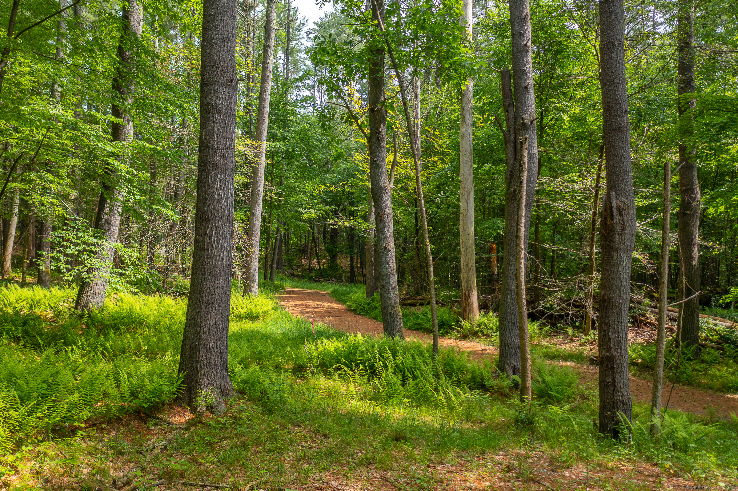 50 Popple Swamp Road Cornwall, CT 06754 - Photo 2 of 19 a view of a garden