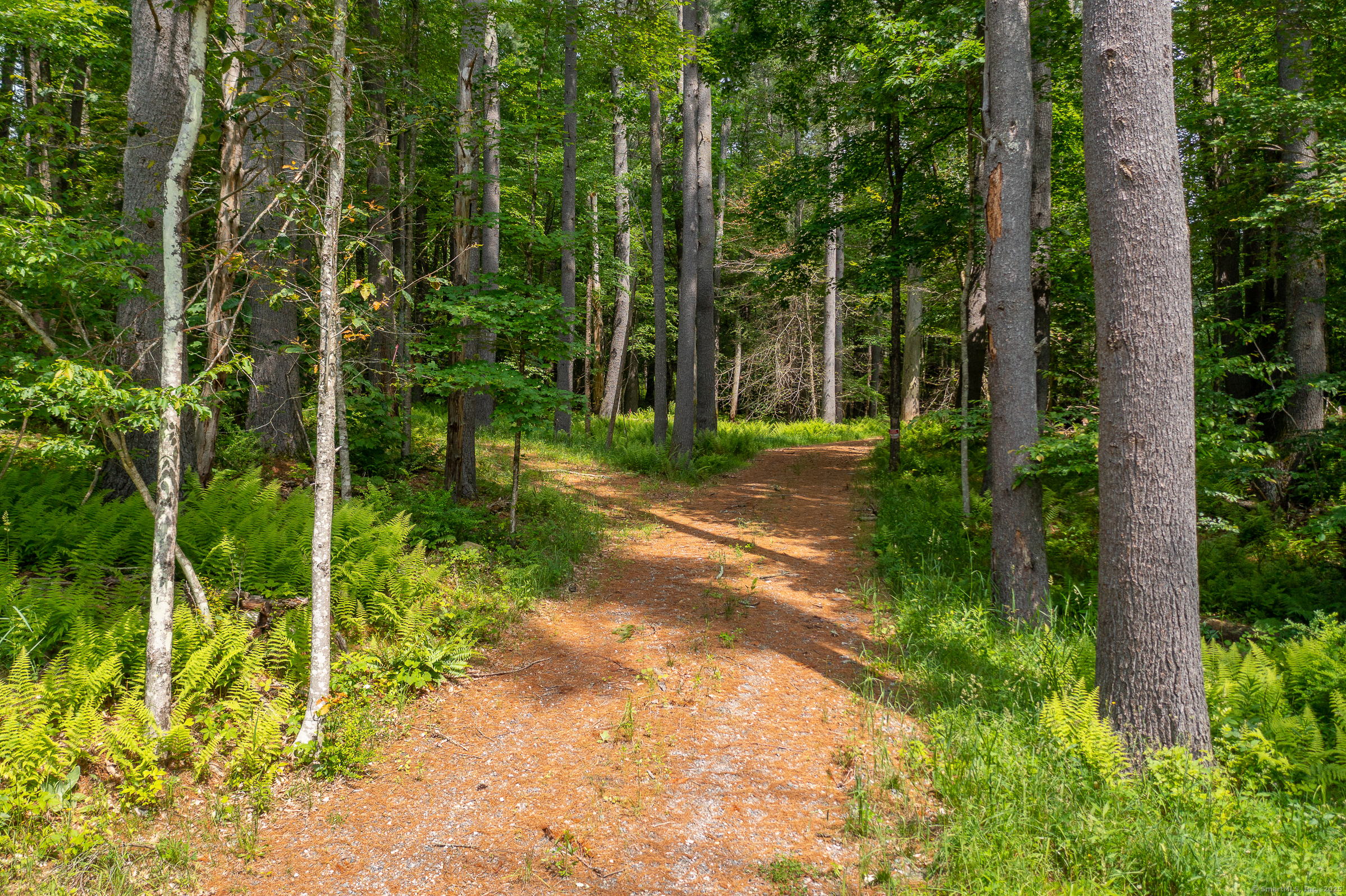 50 Popple Swamp Road Cornwall, CT 06754 - Photo 5 of 19 a view of a backyard