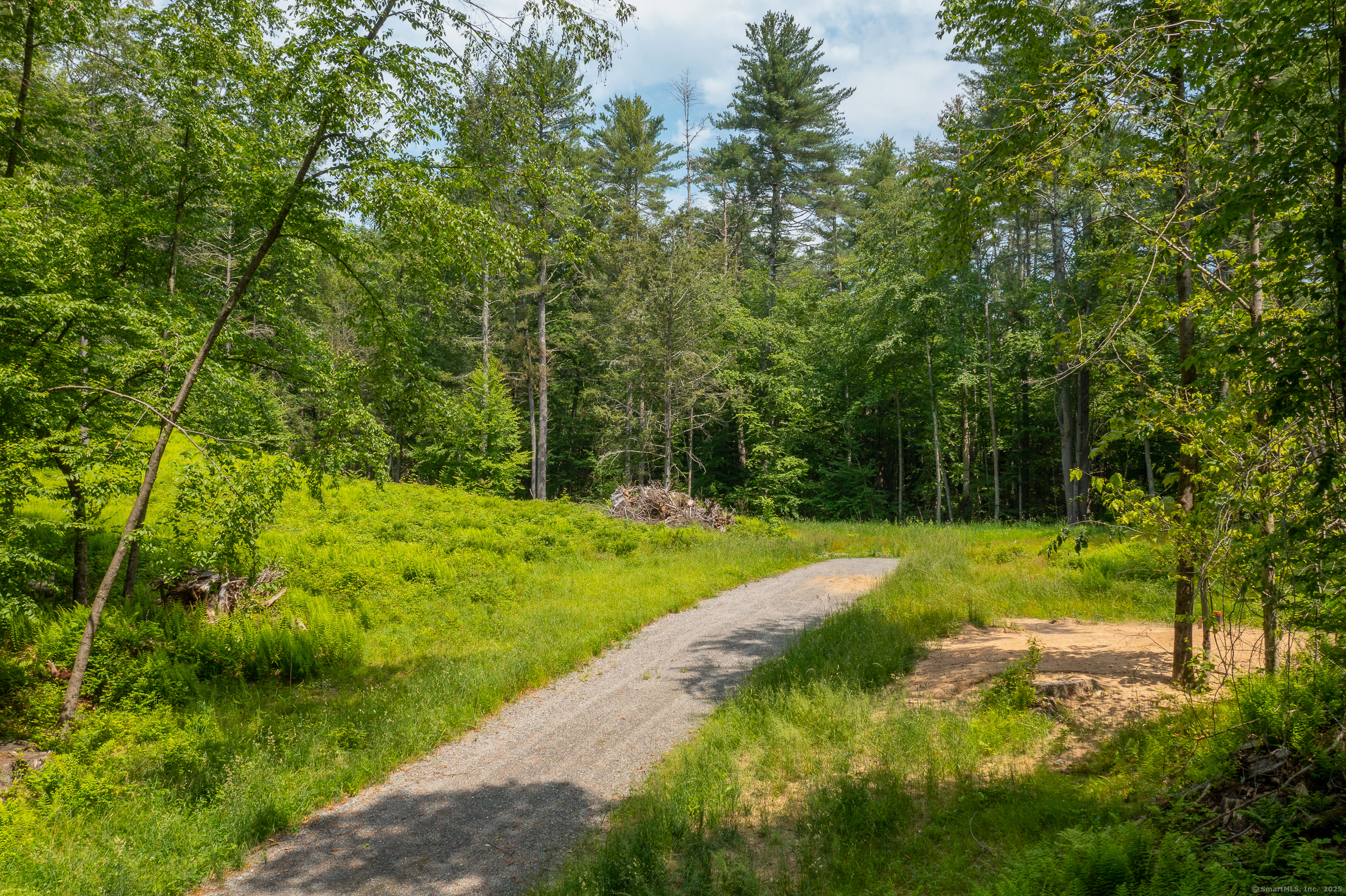 50 Popple Swamp Road Cornwall, CT 06754 - Photo 6 of 19 a view of backyard with green space