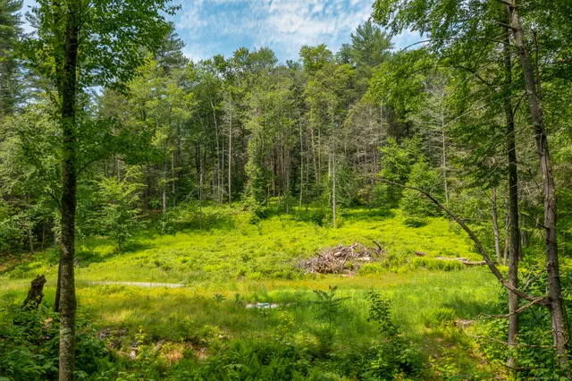 a view of outdoor space and trees