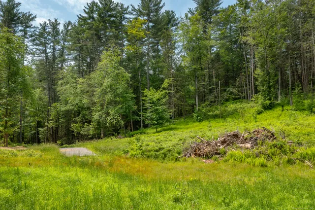 a view of yard with green space