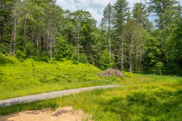 a view of a trees with a yard