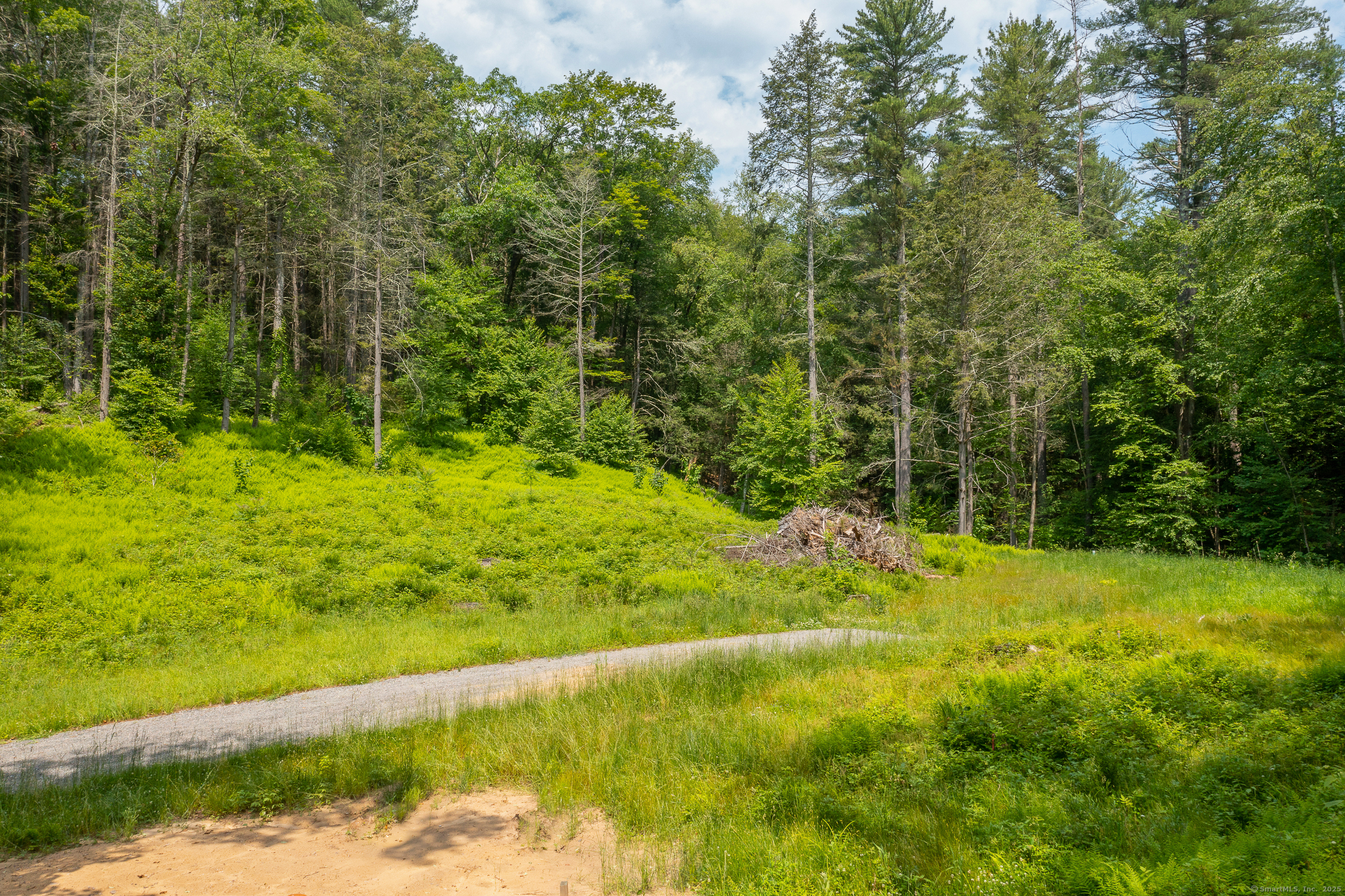 50 Popple Swamp Road Cornwall, CT 06754 - Photo 9 of 19 a view of a trees with a yard