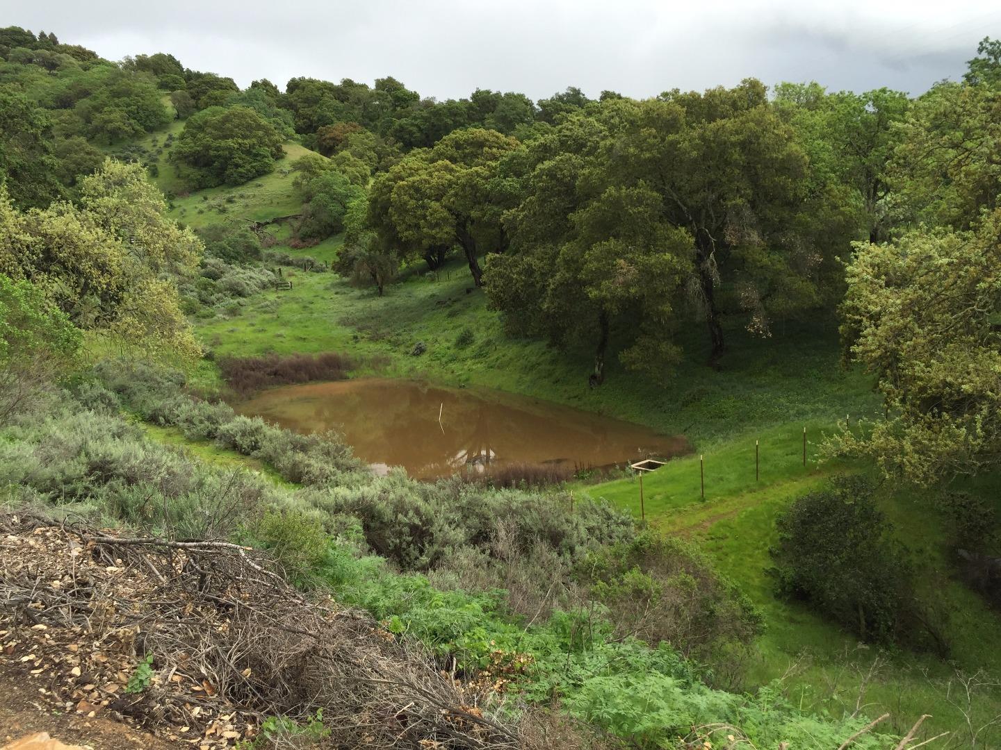 8900 Manfroy Ranch Road Gilroy, CA 95020 - Photo 9 of 12 a view of a lush green forest