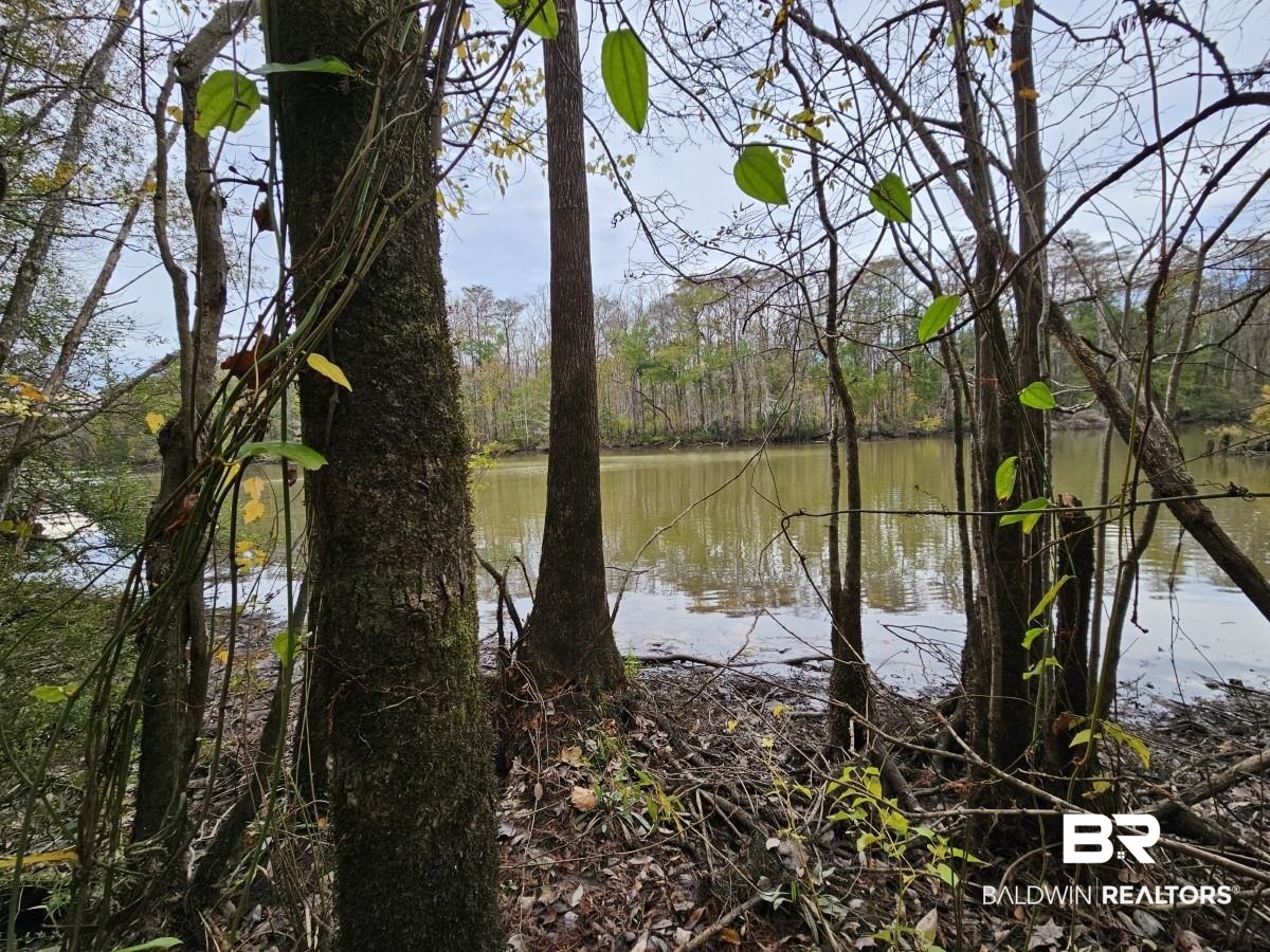 8515 Club House Road Bay Minette, AL 36507 - Photo 13 of 19