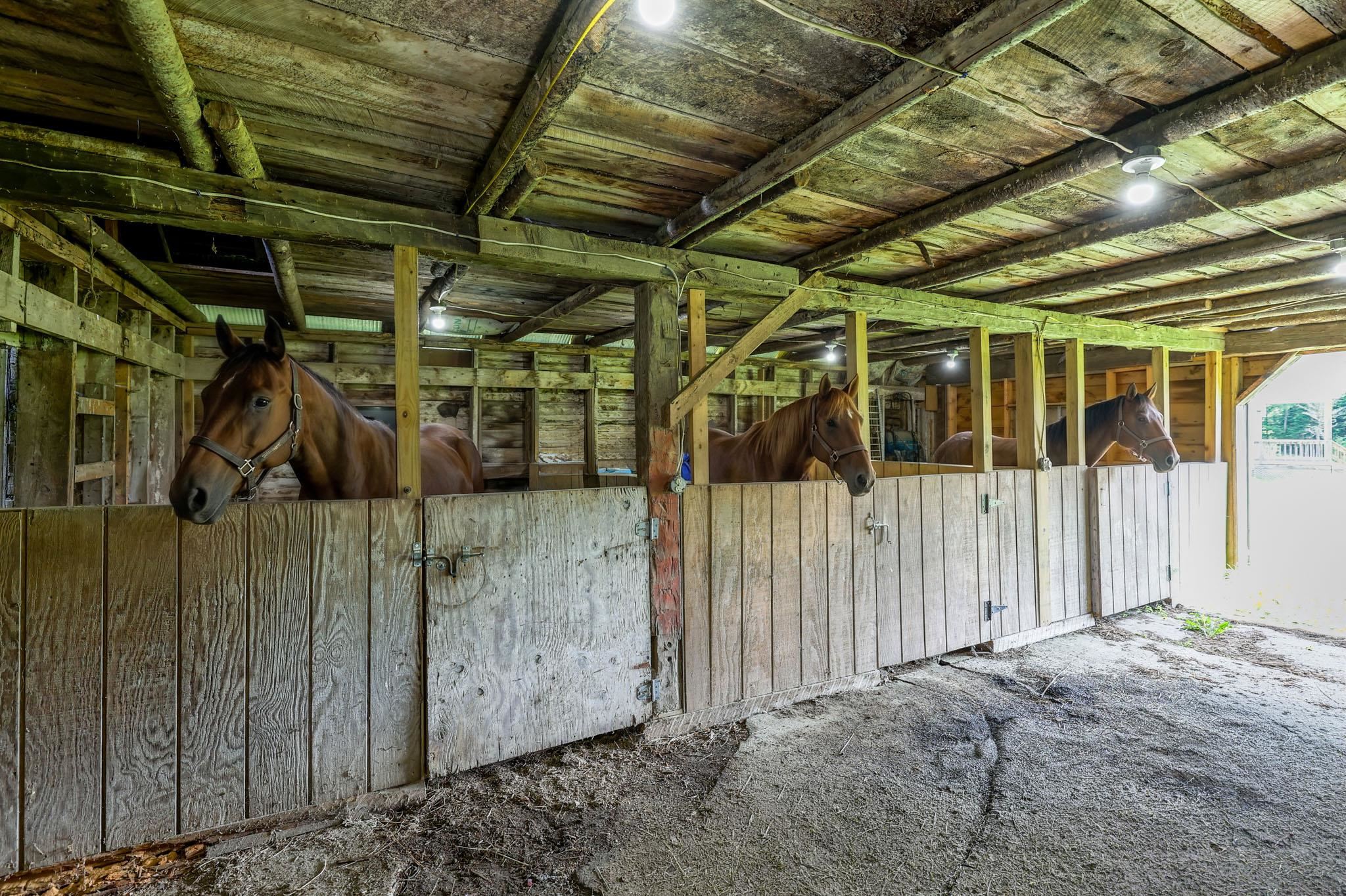 597 Chapdelaine Road Brownington, VT 05860 - Photo 8 of 49