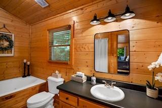 46 Floral Court Ellijay, GA 30540 - Photo 23 of 38 a bathroom with a granite countertop sink toilet a mirror and shower