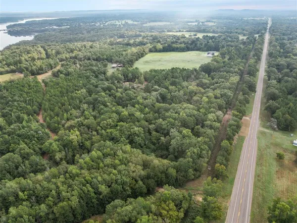 an aerial view of forest