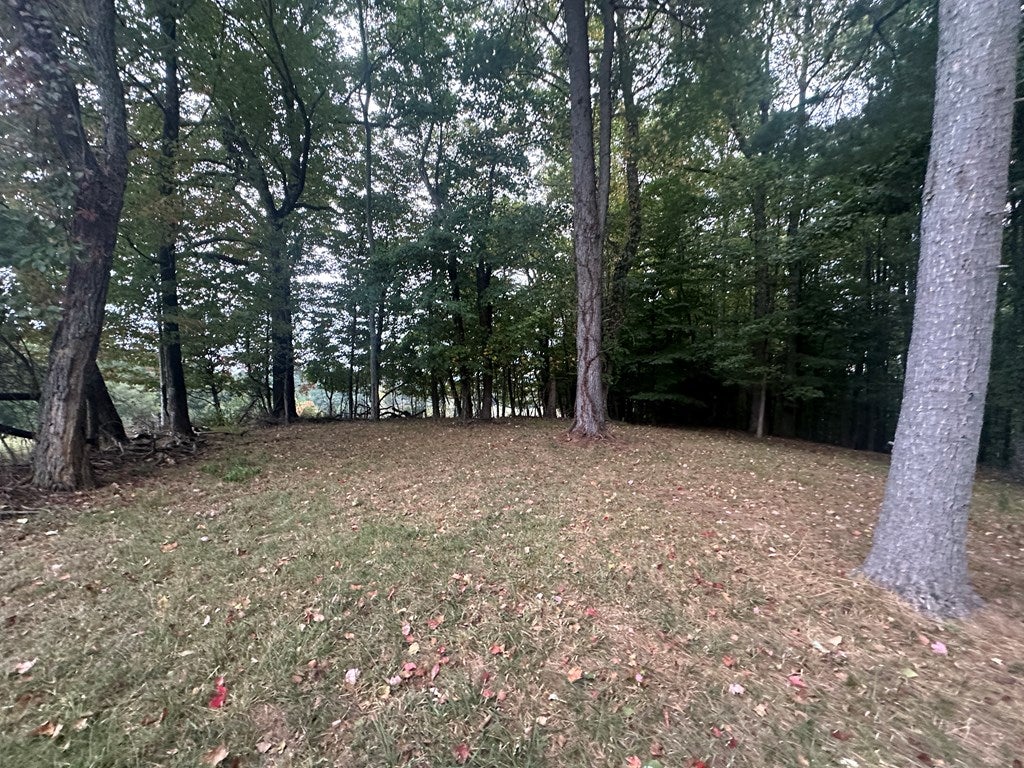 24752 Walden Road, Unit 4 Abingdon, VA 24210 - Photo 31 of 45 Gallery Image 31