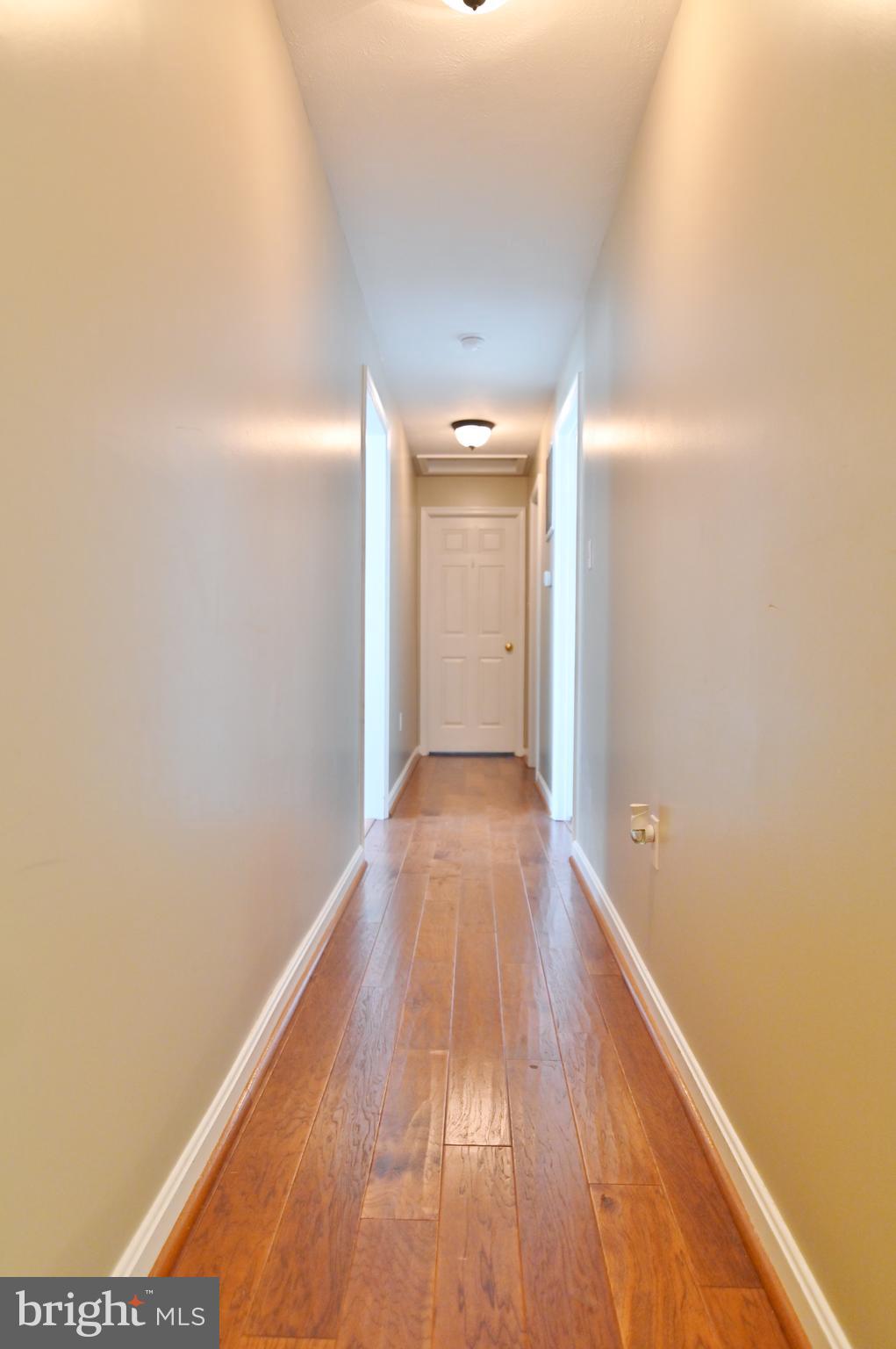 5529 Fort Valley Road Fort Valley, VA 22652 - Photo 46 of 83 Gallery Image 46