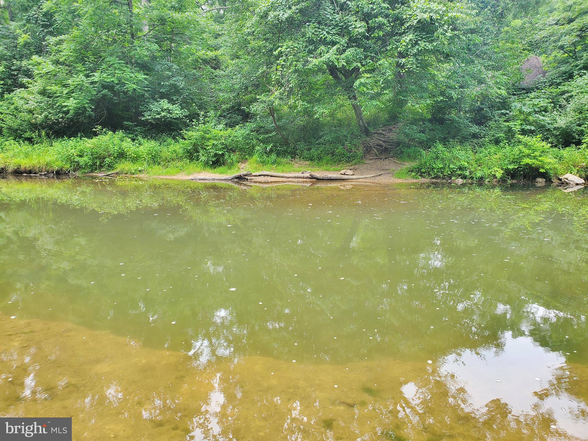 5529 Fort Valley Road Fort Valley, VA 22652 - Photo 6 of 83 Passage Creek Fishing at the Recreation Area!