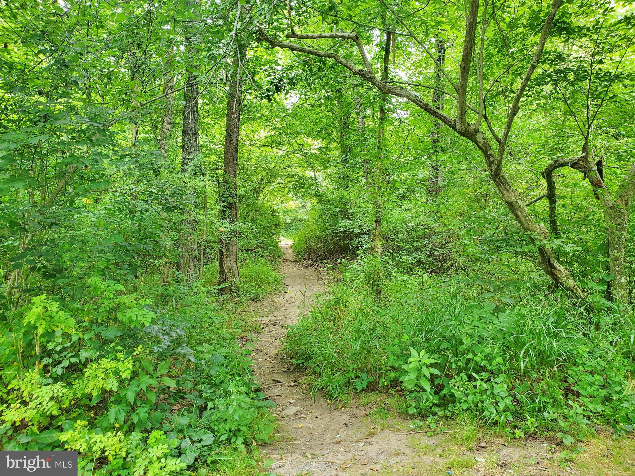 5529 Fort Valley Road Fort Valley, VA 22652 - Photo 76 of 83 Short Drive to Elizabeth Furnace Recreation Area!