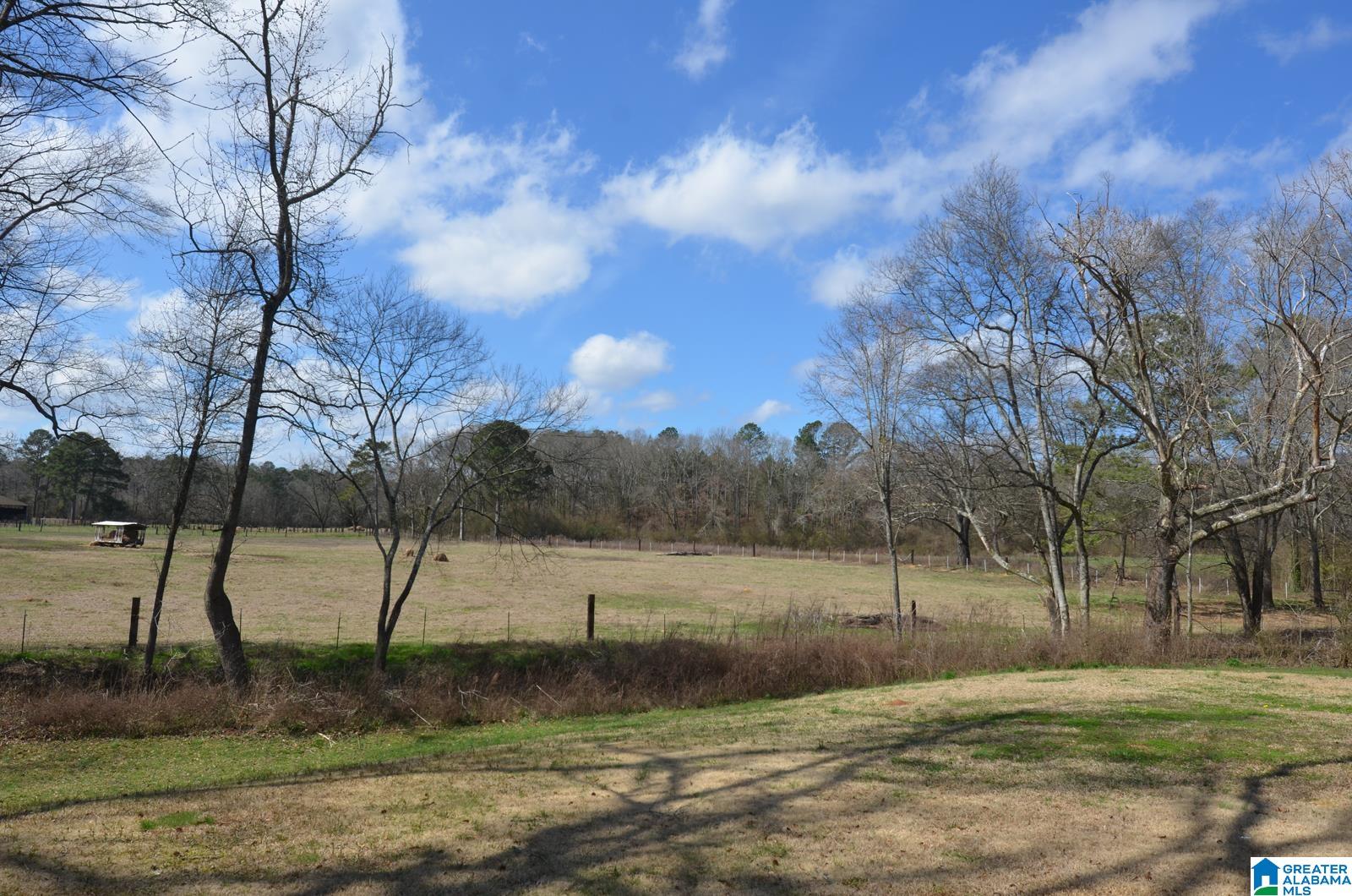 2093 Dearmanville Road Anniston, AL 36207 - Photo 5 of 32