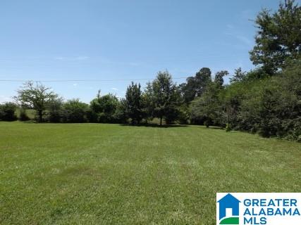168 Jay Street Cleveland, AL 35049 - Photo 8 of 46