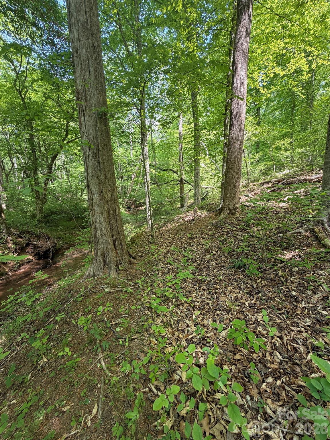 0 Overstone Drive, Unit 284 Rutherfordton, NC 28139 - Photo 11 of 16