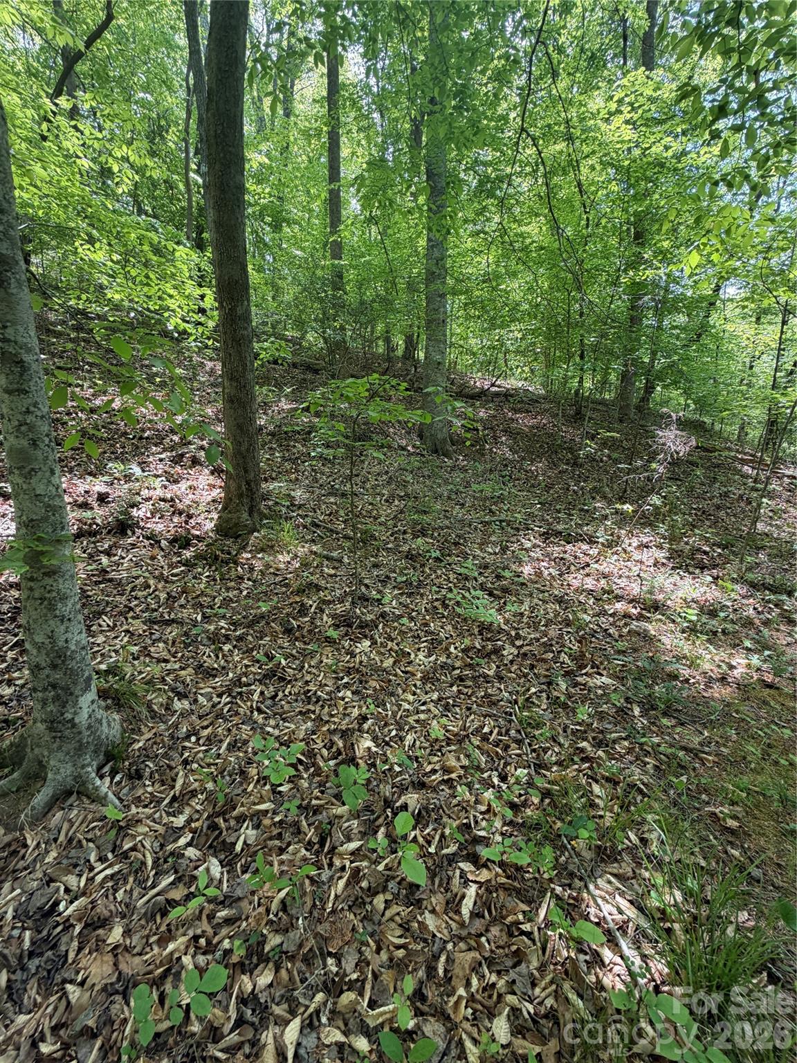 0 Overstone Drive, Unit 284 Rutherfordton, NC 28139 - Photo 12 of 16