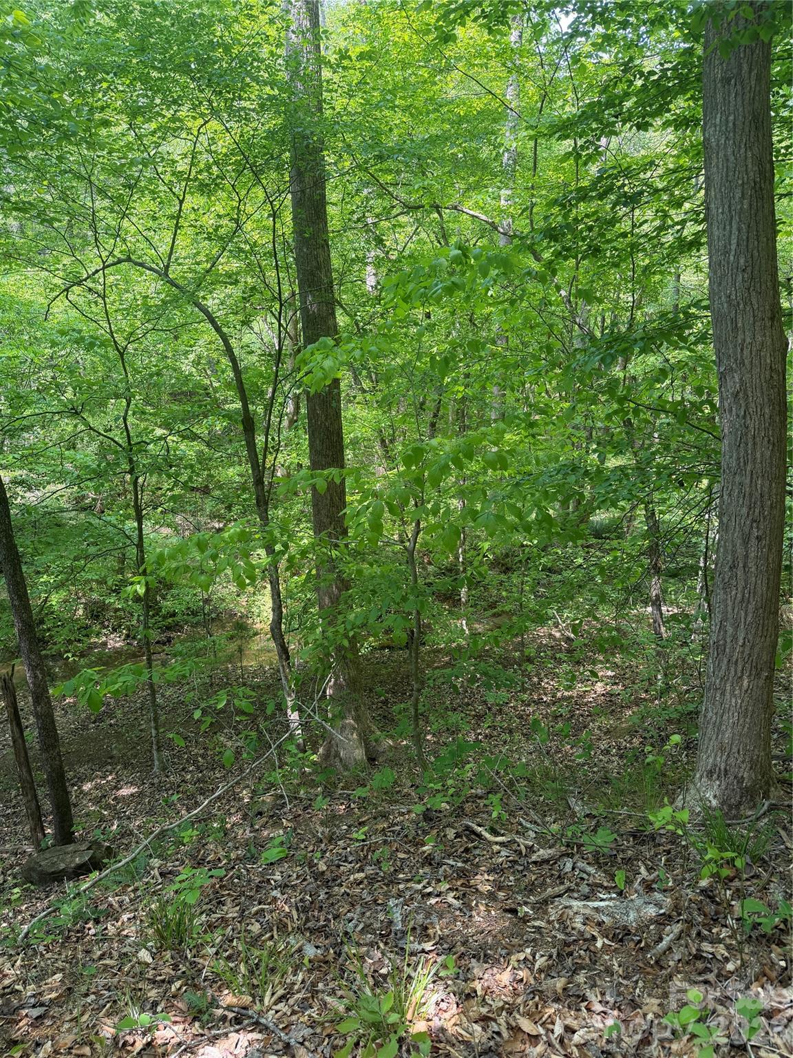 0 Overstone Drive, Unit 284 Rutherfordton, NC 28139 - Photo 13 of 16