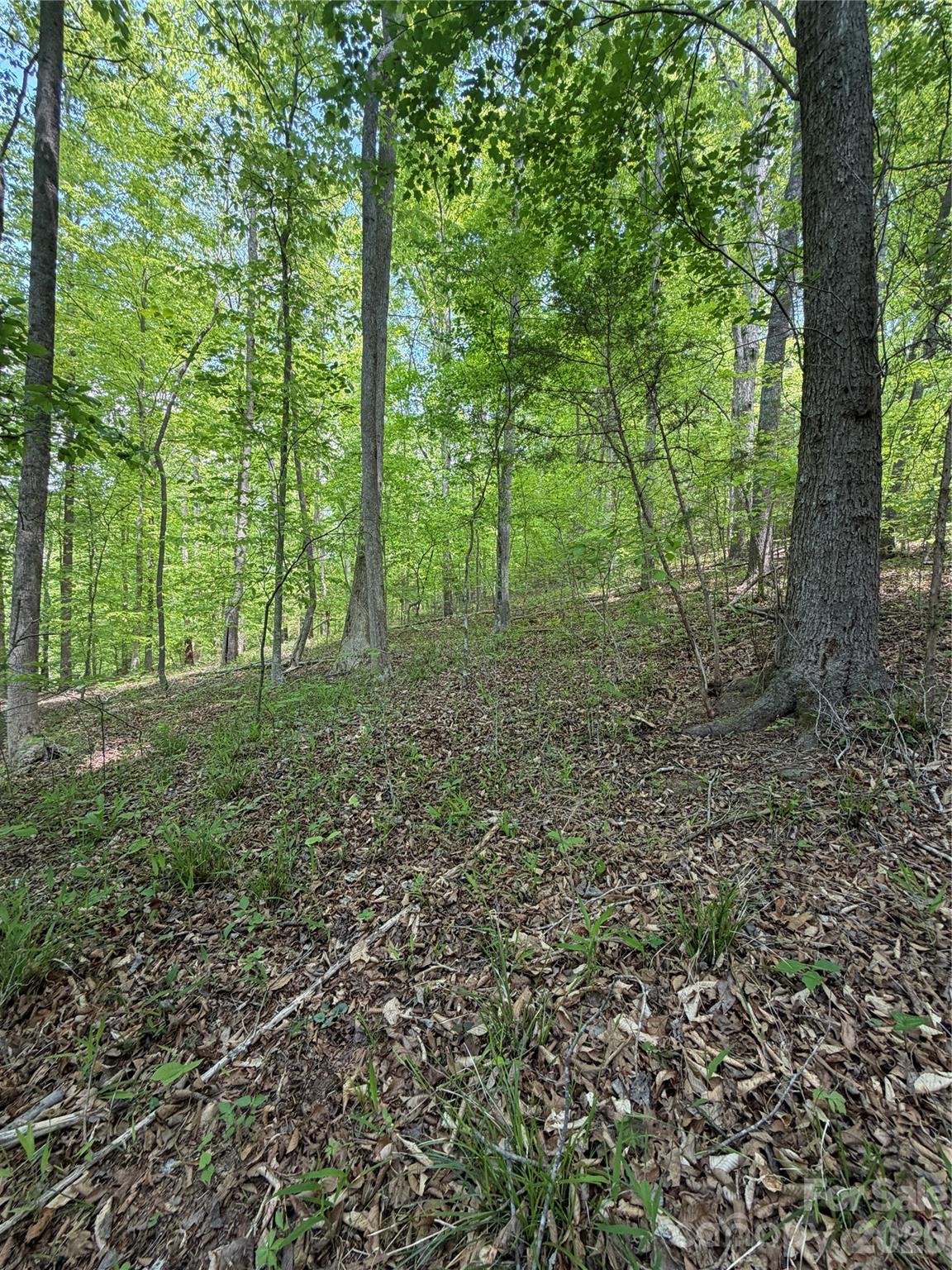 0 Overstone Drive, Unit 284 Rutherfordton, NC 28139 - Photo 15 of 16
