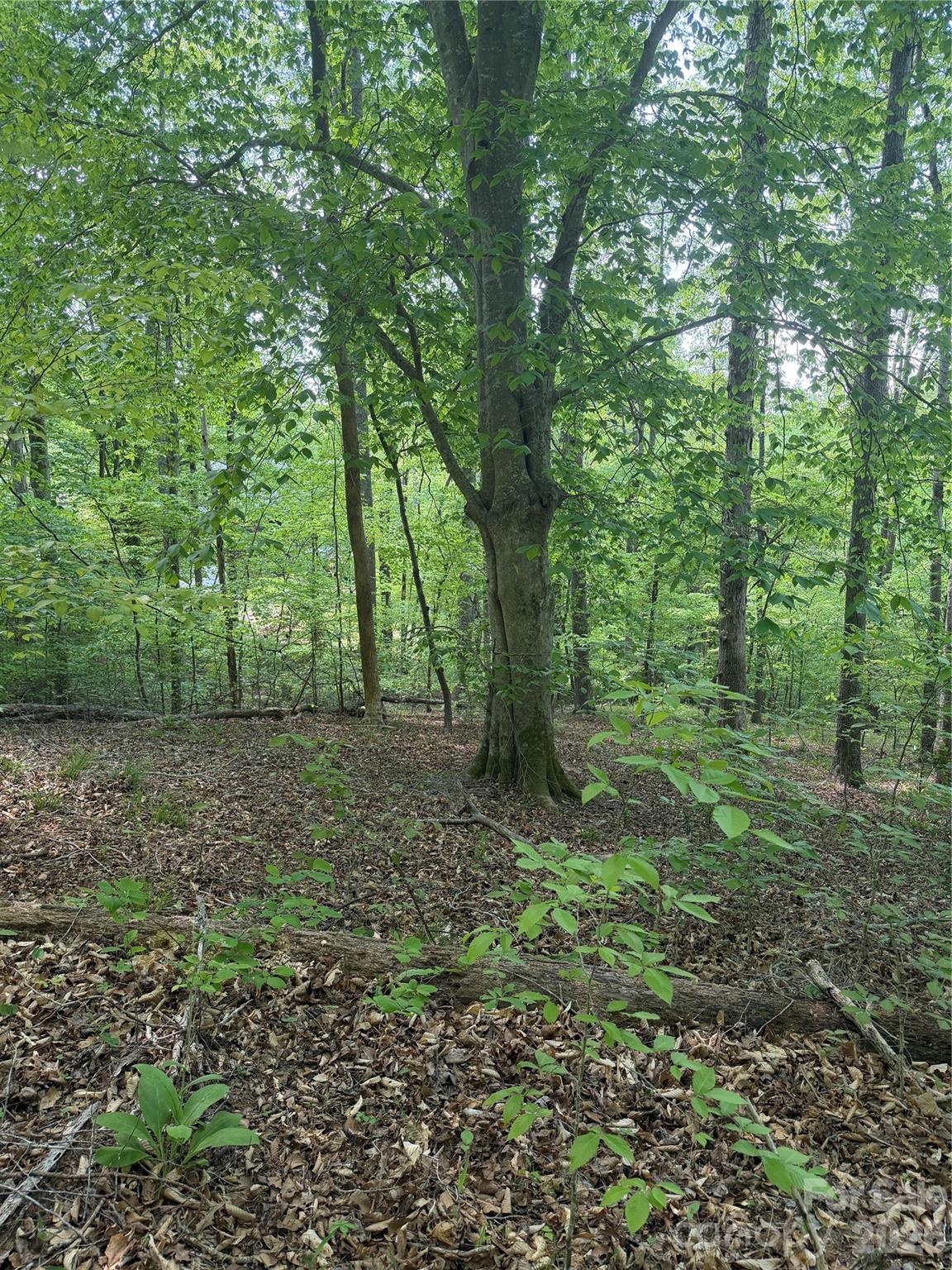 0 Overstone Drive, Unit 284 Rutherfordton, NC 28139 - Photo 16 of 16