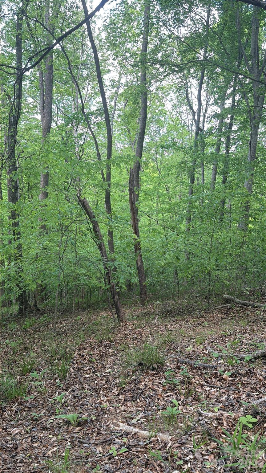 0 Overstone Drive, Unit 284 Rutherfordton, NC 28139 - Photo 2 of 16