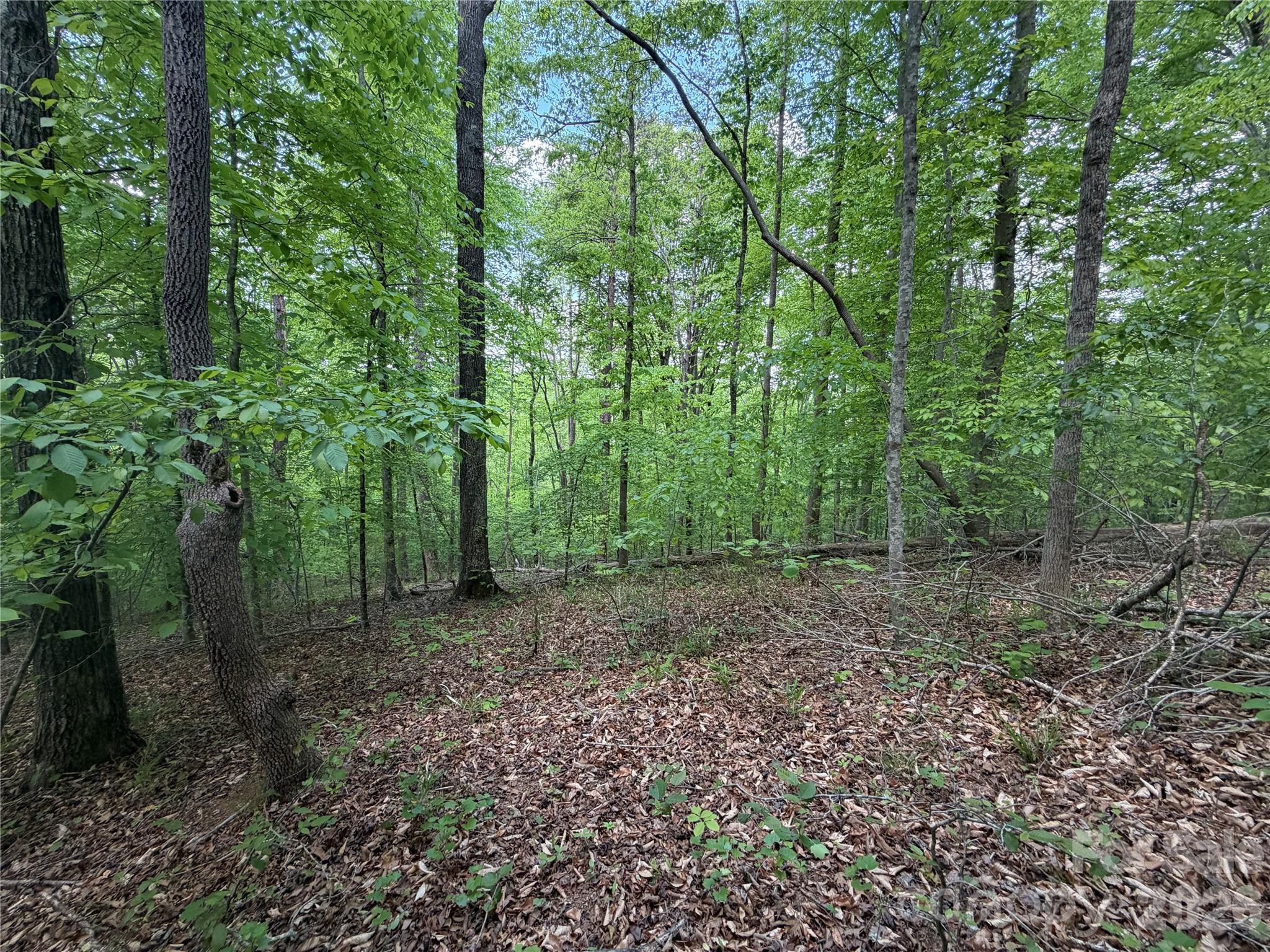 0 Overstone Drive, Unit 284 Rutherfordton, NC 28139 - Photo 3 of 16