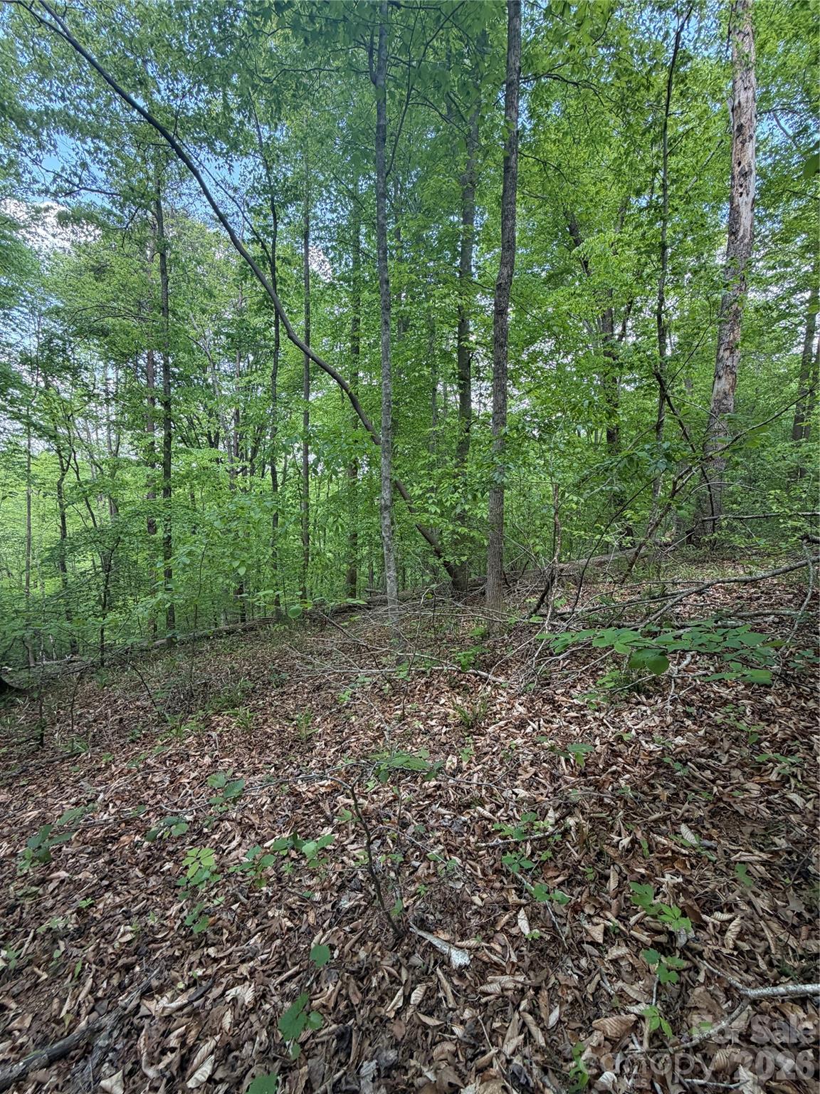 0 Overstone Drive, Unit 284 Rutherfordton, NC 28139 - Photo 4 of 16