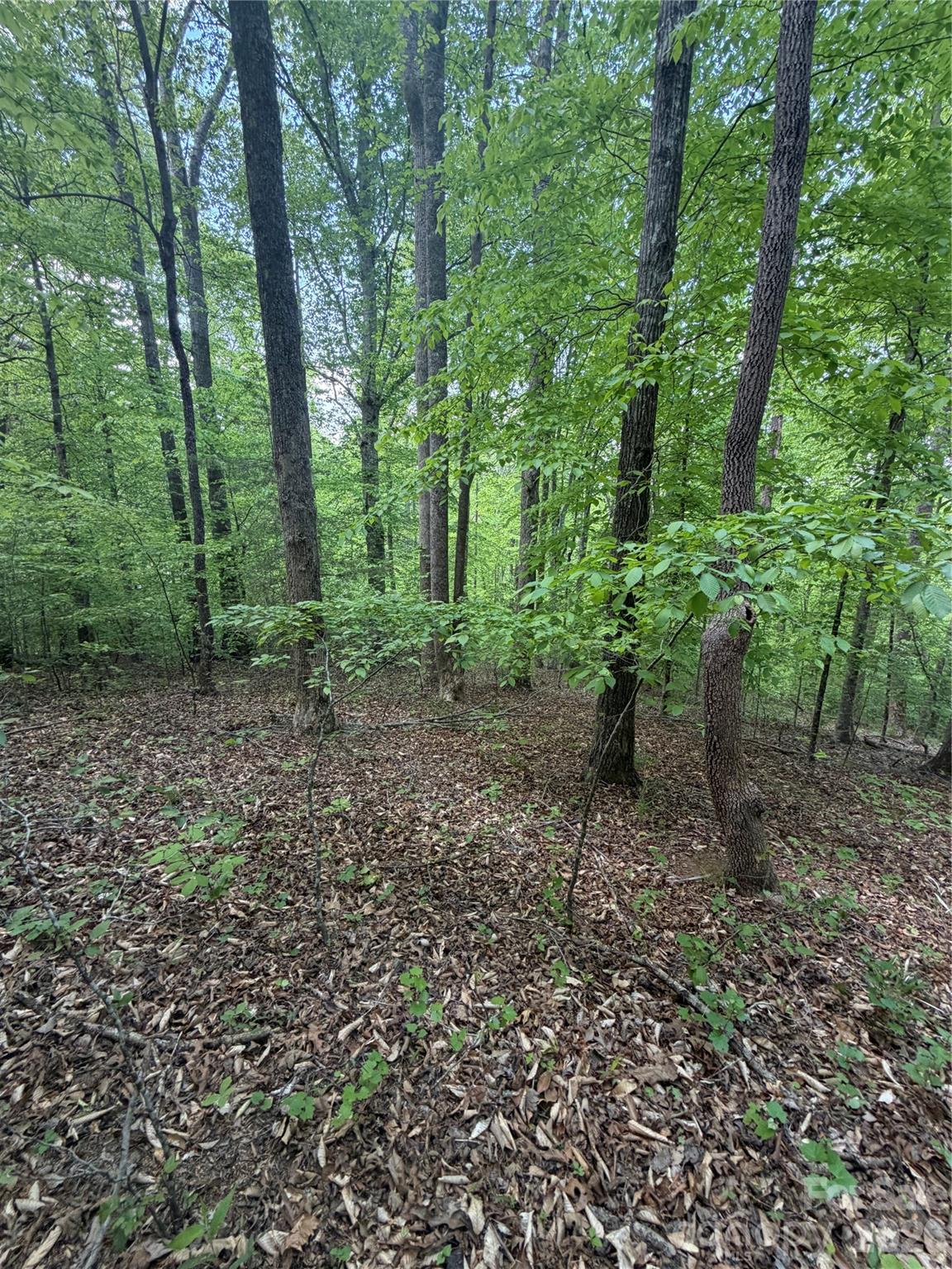 0 Overstone Drive, Unit 284 Rutherfordton, NC 28139 - Photo 5 of 16