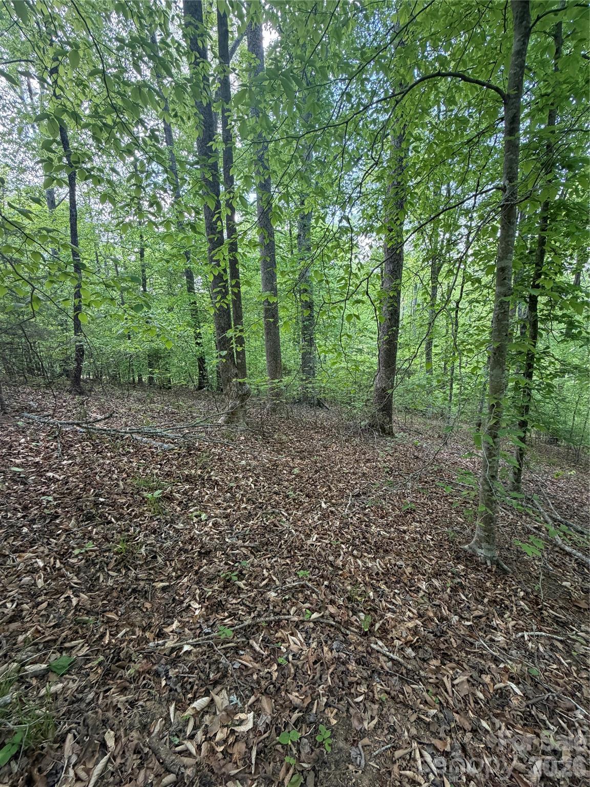0 Overstone Drive, Unit 284 Rutherfordton, NC 28139 - Photo 6 of 16