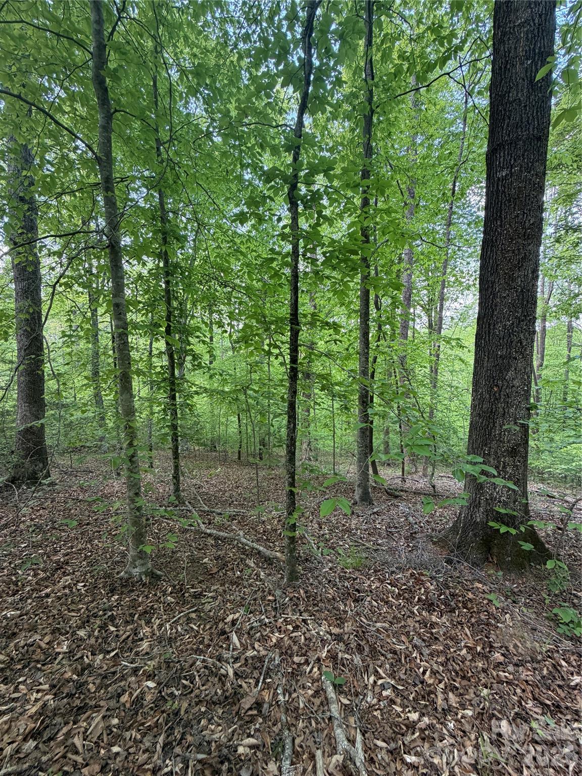 0 Overstone Drive, Unit 284 Rutherfordton, NC 28139 - Photo 7 of 16