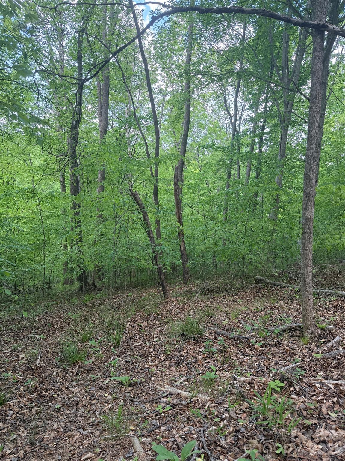 0 Overstone Drive, Unit 284 Rutherfordton, NC 28139 - Photo 8 of 16