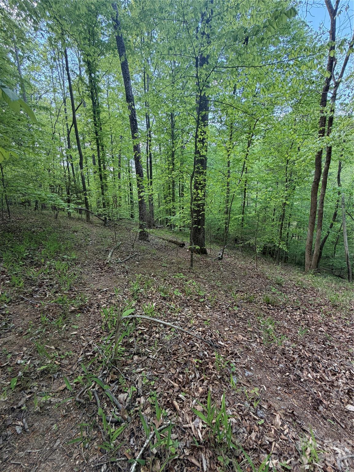 0 Overstone Drive, Unit 284 Rutherfordton, NC 28139 - Photo 9 of 16