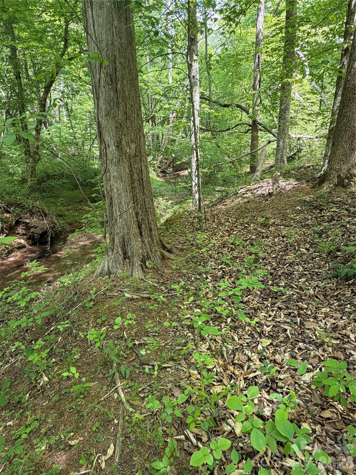 0 Overstone Drive, Unit 284 Rutherfordton, NC 28139 - Photo 10 of 16
