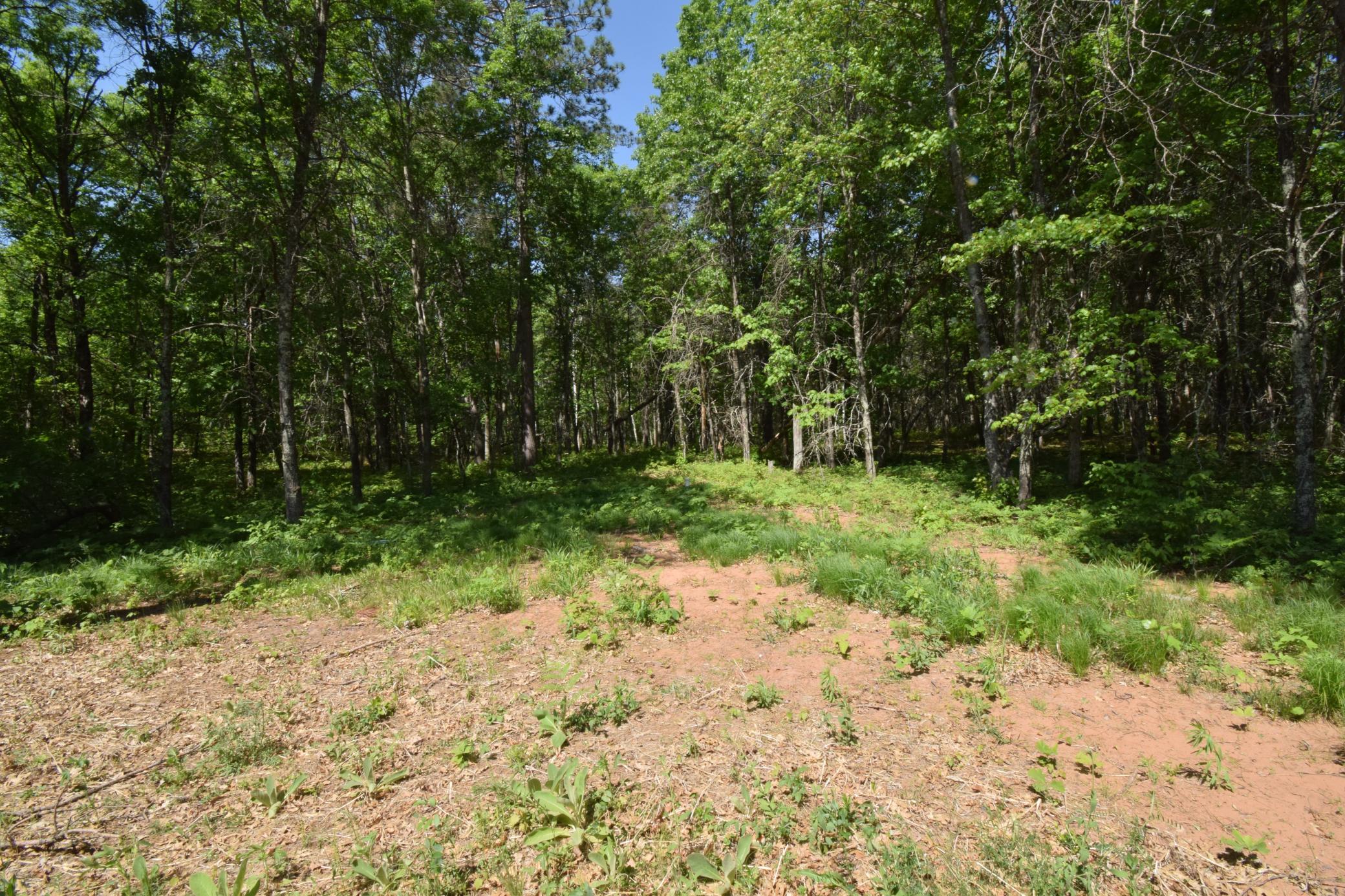29093 Deerpath Pass Danbury, WI 54830 - Photo 59 of 94