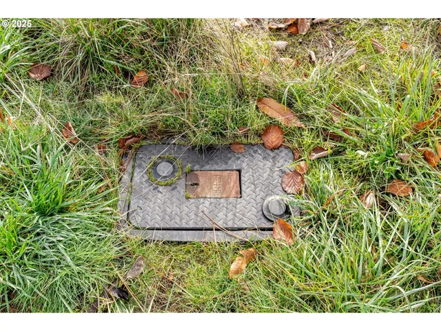 a bird view of house and tree