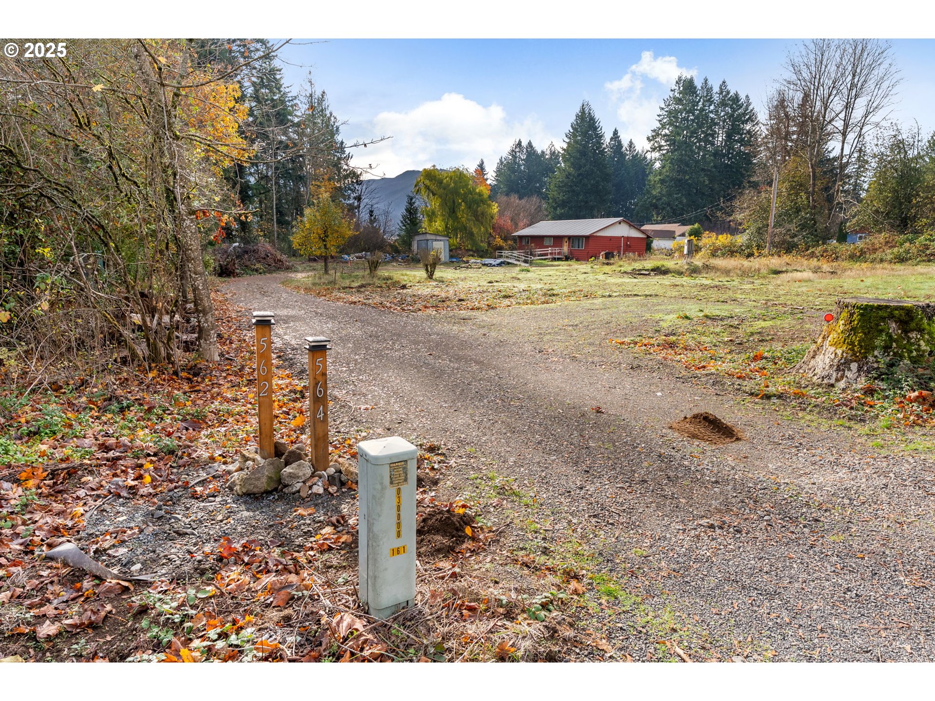 564 Hot Springs Avenue Carson, WA 98610 - Photo 19 of 27 a view of a dry yard with trees