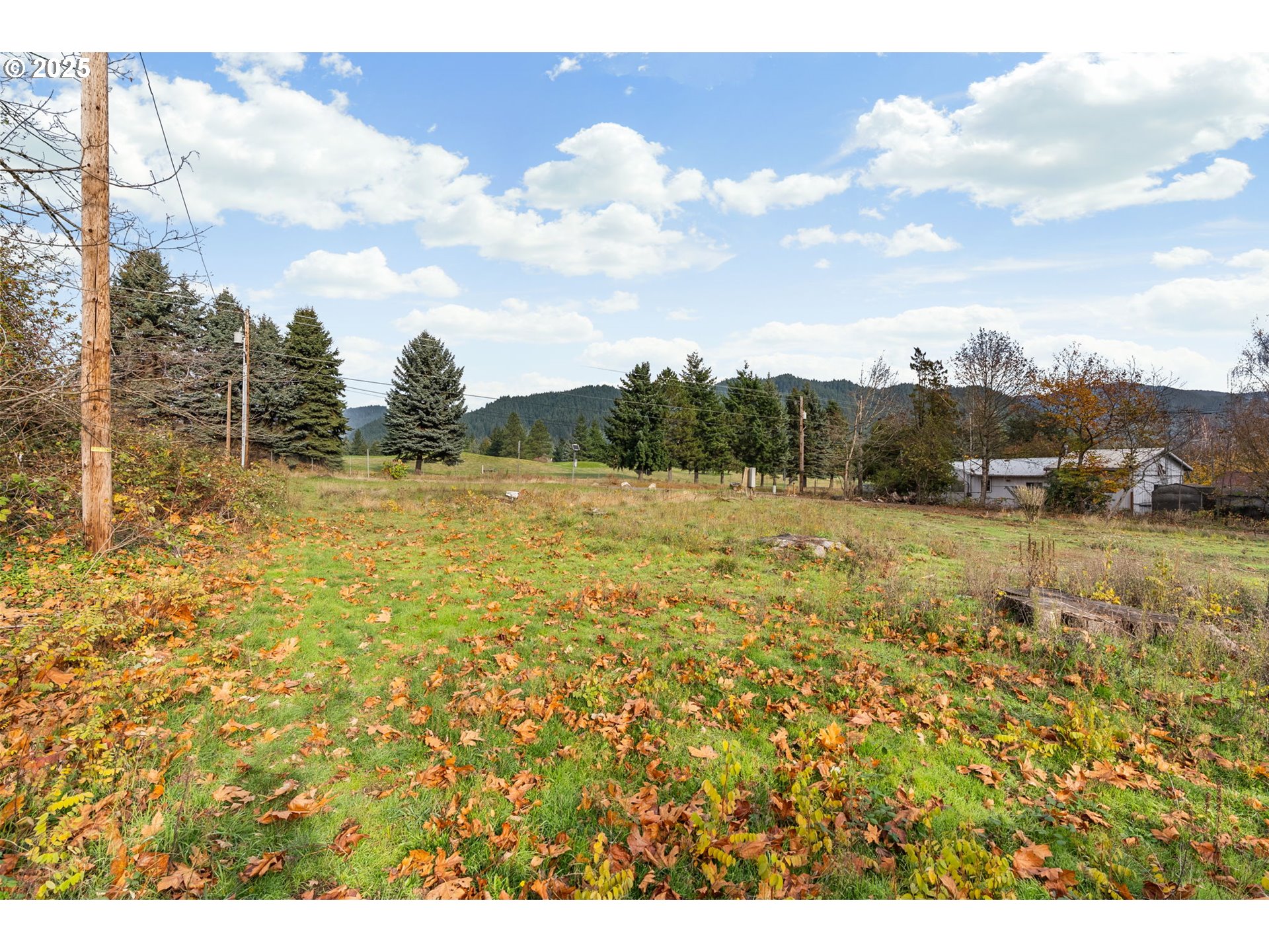 564 Hot Springs Avenue Carson, WA 98610 - Photo 21 of 27 a view of a lake with houses in the back