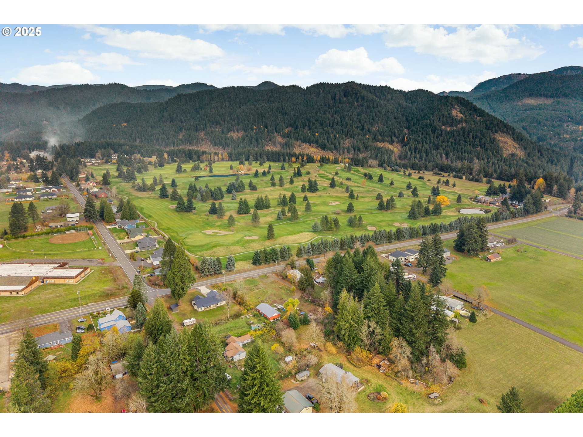 564 Hot Springs Avenue Carson, WA 98610 - Photo 26 of 27 a view of lake and mountain