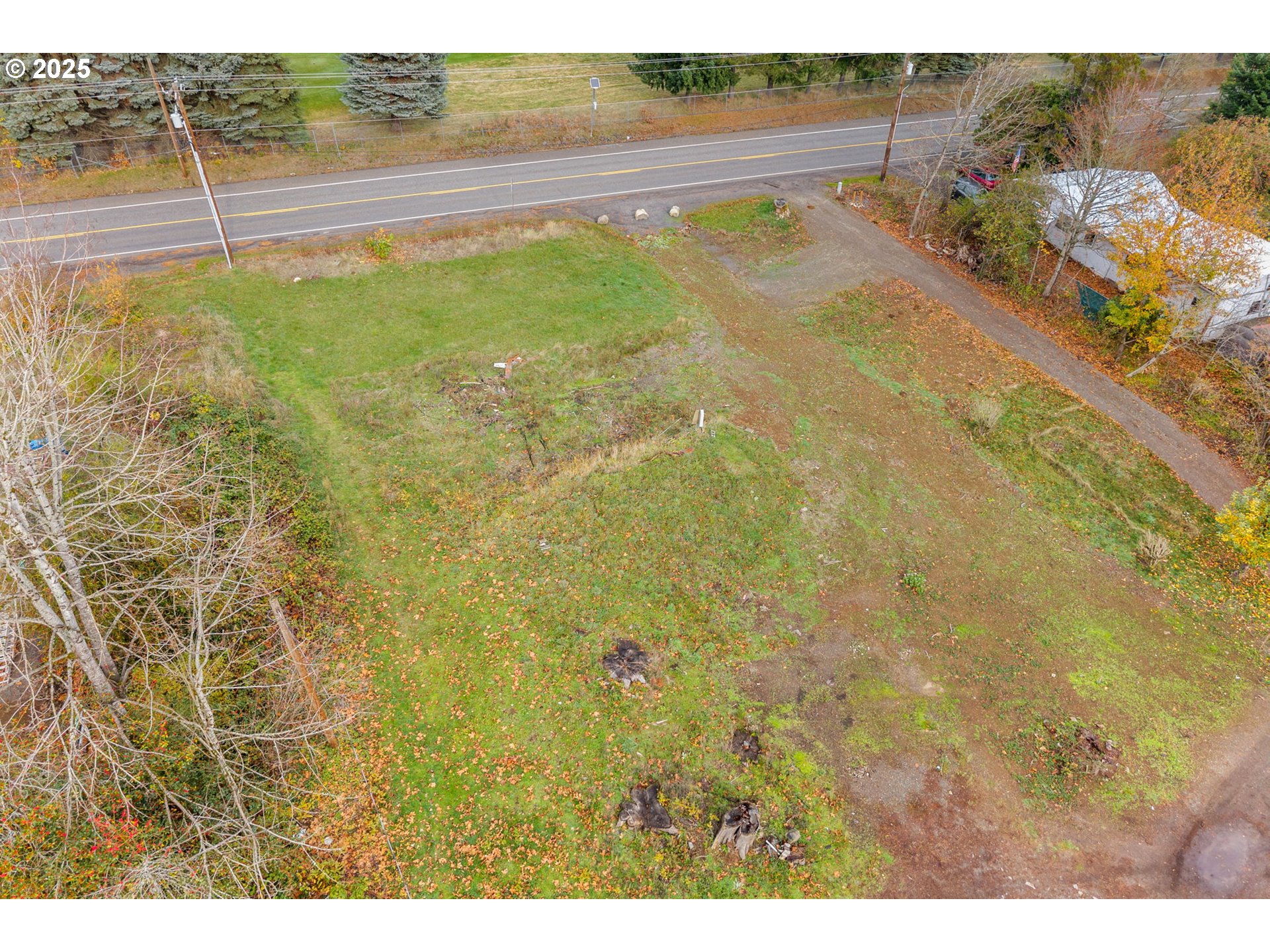 564 Hot Springs Avenue Carson, WA 98610 - Photo 5 of 27 a view of a yard