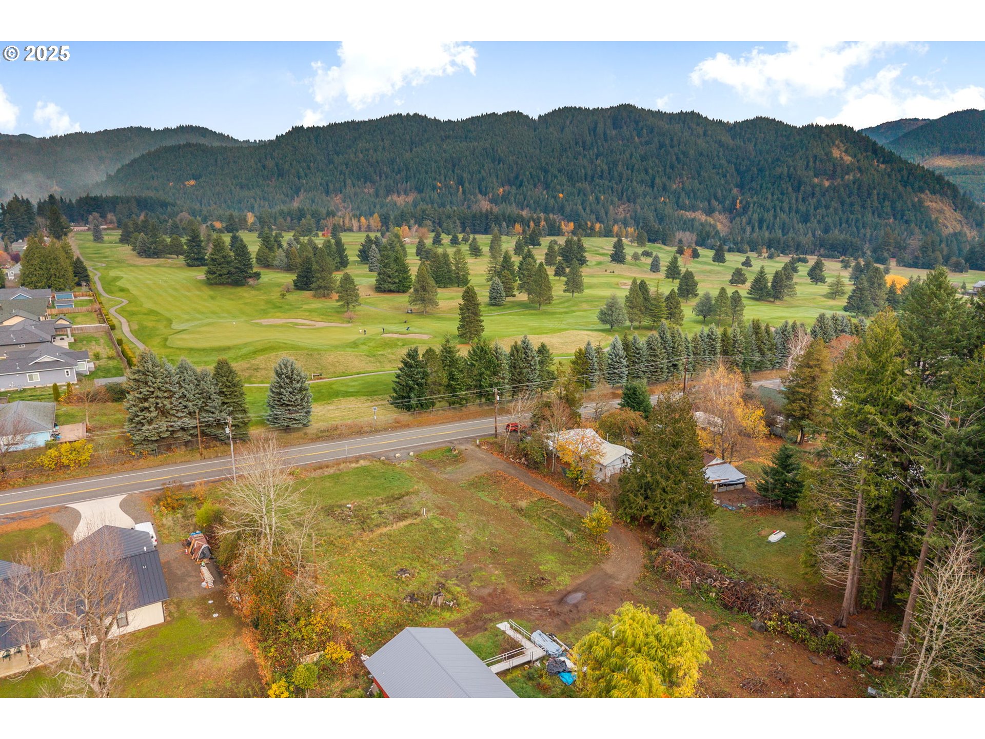 564 Hot Springs Avenue Carson, WA 98610 - Photo 7 of 27 a view of lake with mountain