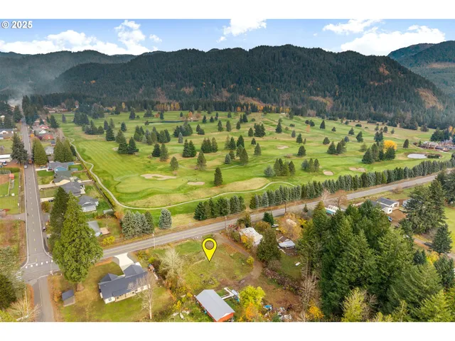 a view of a town with mountains in the background
