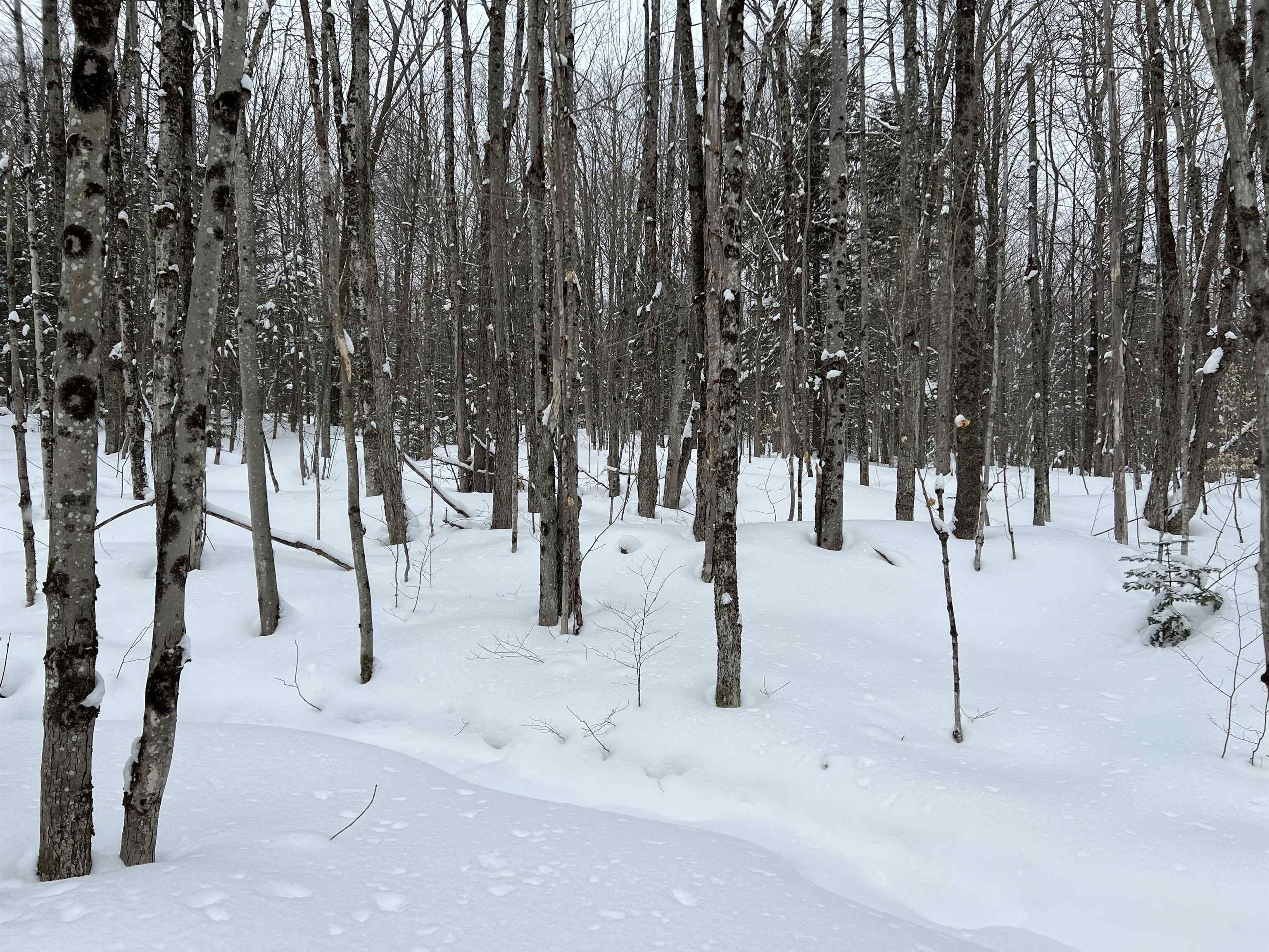 Off Ball Ground Road Westfield, VT 05874 - Photo 21 of 28